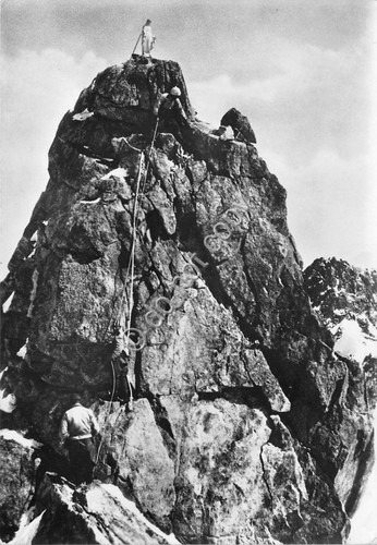 Cartolina - Postcard - Courmayeur - Vetta del Gigante - …