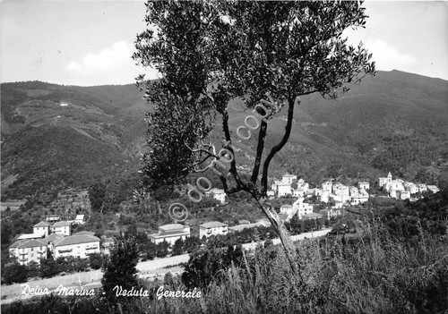 Cartolina - Postcard - Deiva Marina - Panorama - 1963