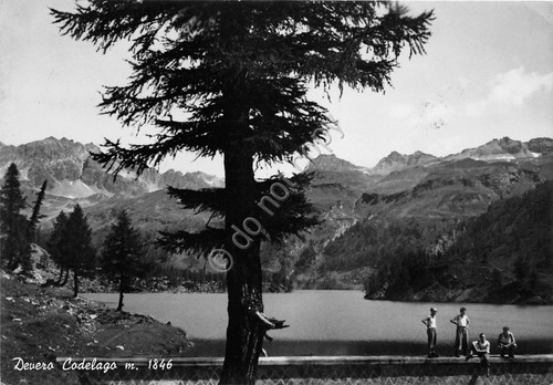 Cartolina - Postcard - Devero Codelago - Panorama - 1954 …
