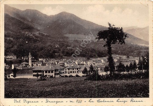 Cartolina - Postcard - Druogno - Colonia Luigi Razza - …