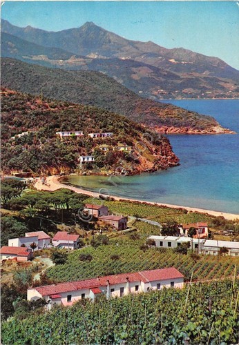 Cartolina - Postcard - Elba - Golfo Biodola - Hotel …