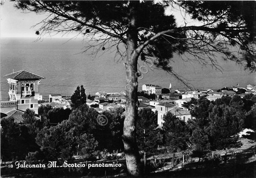 Cartolina - Postcard - Falconara Marittima - Panorama - NVG …