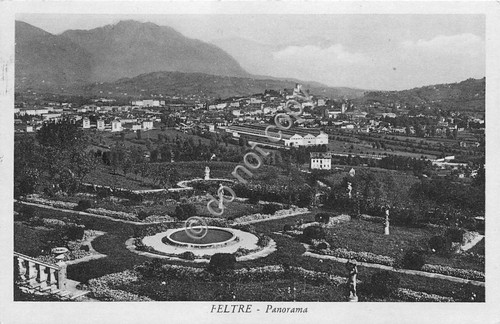 Cartolina - Postcard - Feltre - Panorama - 1956