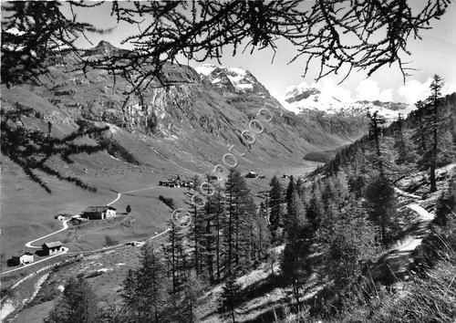 Cartolina - Postcard - Fextal - gegen Chaputchin - anni …