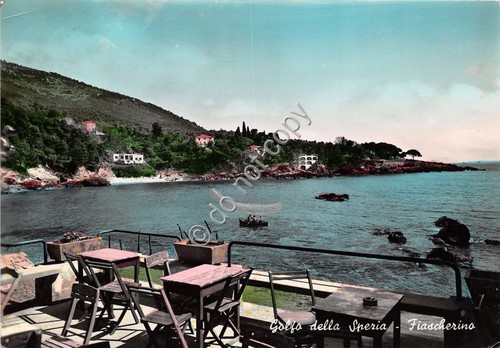 Cartolina - Postcard - Fiascherino - veduta -1953