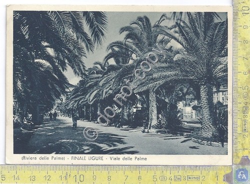 Cartolina - Postcard - Finale LIgure - Viale delle Palme …
