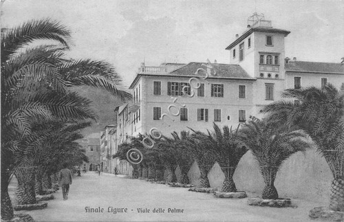 Cartolina - Postcard - Finale Ligure Viale delle Palme animata …