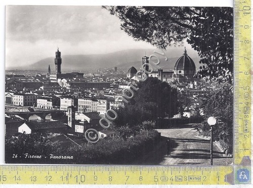 Cartolina - Postcard - Firenze - Panorama - 1950