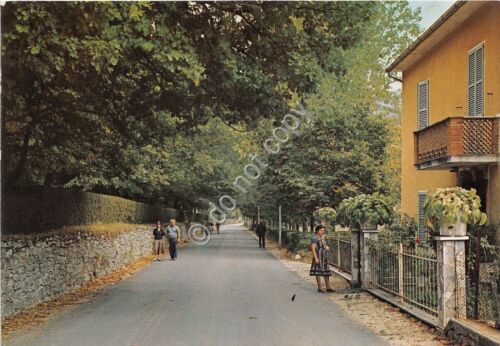 Cartolina - Postcard - Fiuminata - Via Ponte Castello - …