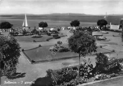 Cartolina - Postcard - Follonica - giardini - 1956