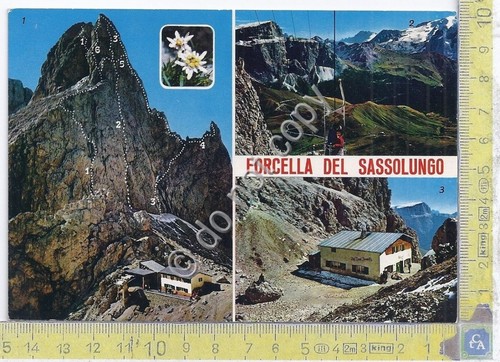 Cartolina - Postcard - Forcella del Sassolungo - multivisione - …