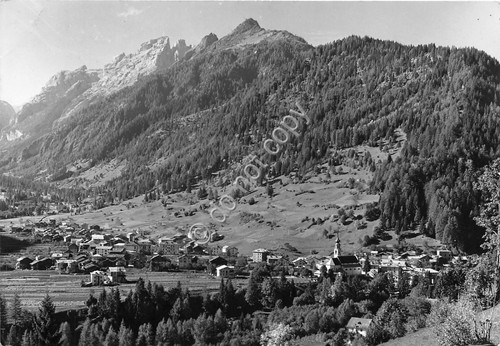 Cartolina - Postcard - Forno di Canale - Panorama - …