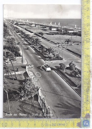 Cartolina - Postcard - Forte dei Marmi - Viali di …