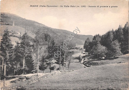 Cartolina - Postcard - Fraine - Valle Palot - Pineta …
