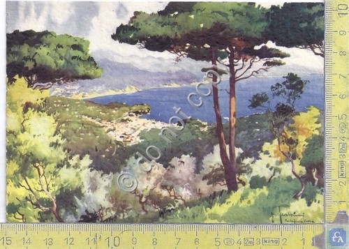 Cartolina - Postcard - G.Frattini - Portofino Vetta - Vista …
