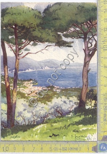 Cartolina - Postcard - G.Frattini - Portofino Vetta - Vista …