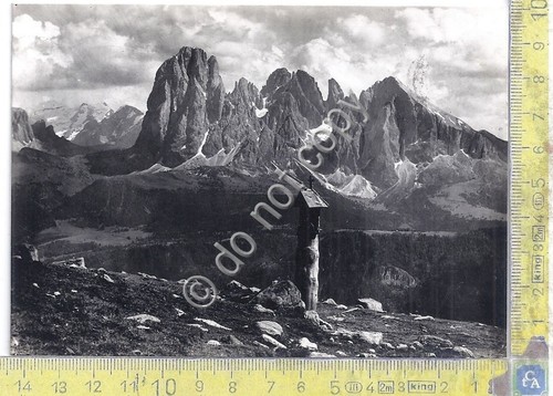 Cartolina - Postcard - Gardena - Gruppo del Sassolungo - …