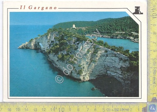 Cartolina - Postcard - Gargano - Panorama - anni '70