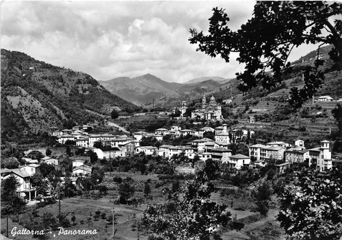 Cartolina - Postcard - Gattorna - Panorama - 1961