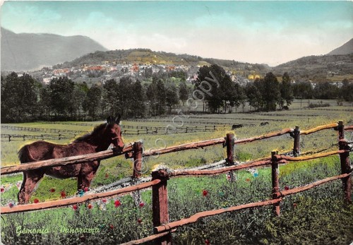 Cartolina - Postcard - Gemonio - Panorama - Cavallo