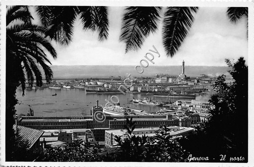 Cartolina - Postcard - Genova - Panorama - Porto - …
