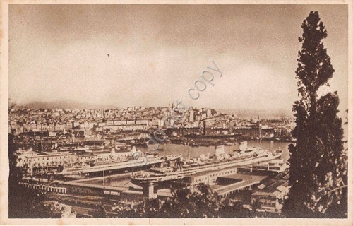Cartolina - Postcard - Genova - Panorama dal Righi - …