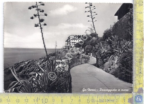 Cartolina - Postcard - Genova Nervi - Passeggiata a mare …