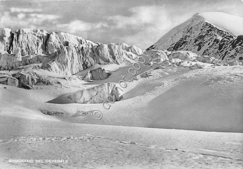 Cartolina - Postcard - Giacciaio del Cevedale - anni '50
