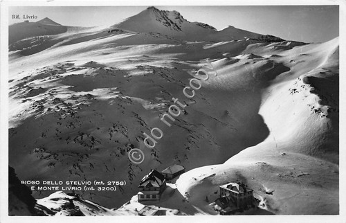 Cartolina - Postcard - Giogo dello Stelvio - Monte Livrio …