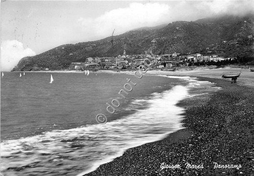 Cartolina - Postcard - Gioiosa Marea - Panorama - 1958