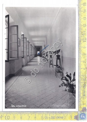 Cartolina - Postcard - Gorla Minore - Collegio Gonzaga - …