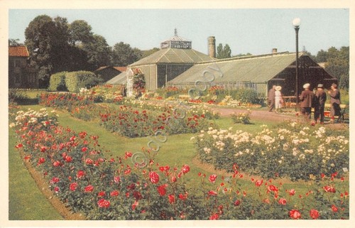 Cartolina - Postcard - Goteborgs Tradgardsforening - Vy fran parken