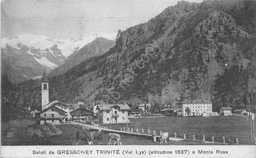 Cartolina - Postcard - Gressoney Trinitè - Paese - pascolo …