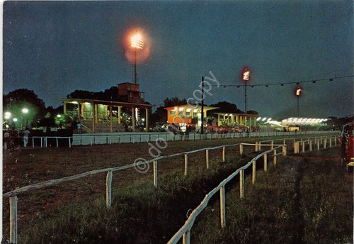 Cartolina - Postcard - Grosseto - Ippodromo del Casalone - …