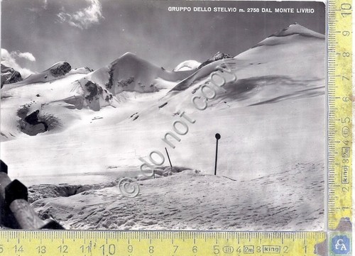 Cartolina - Postcard - Gruppo dello Stelvio - dal Monte …