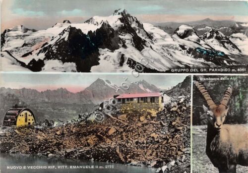 Cartolina - Postcard - Gruppo Gran Paradiso - Vedutine - …