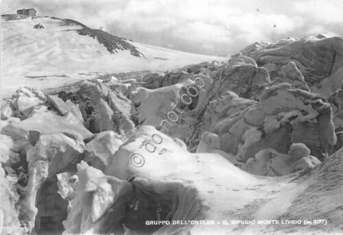 Cartolina - Postcard - Gruppo Ortler - Rifugio Monte Livrio …