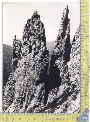 Cartolina - Postcard - Guglia Angelina - 1952