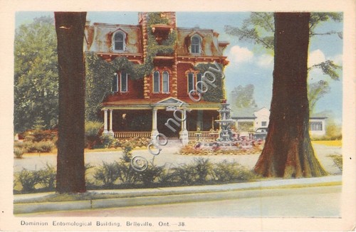 Cartolina - Postcard - Illustrata - Belleville - Ontario - …