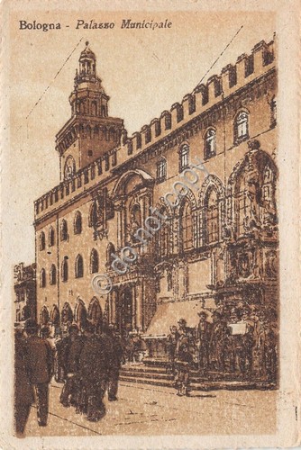Cartolina - Postcard - Illustrata - Bologna - Palazzo Municipale …