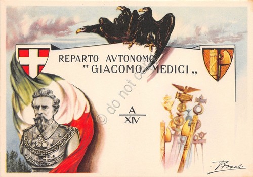 Cartolina - Postcard - Illustrata - Boschi - Reparto Autonomo …