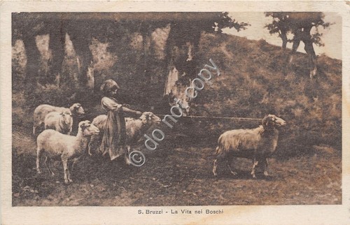 Cartolina - Postcard - Illustrata - Bruzzi - La vita …