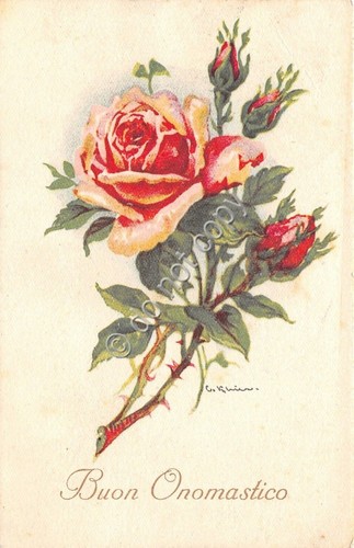 Cartolina - Postcard - Illustrata - Buon onomastico - rosa …