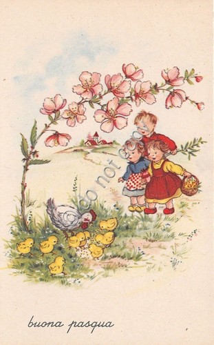 Cartolina - Postcard - Illustrata - Buona Pasqua - fiori …