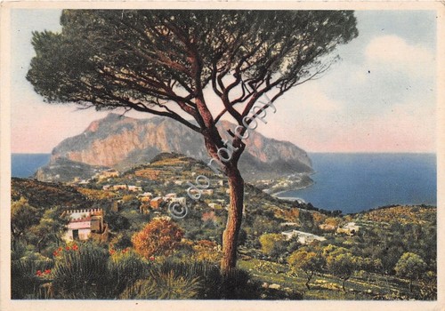 Cartolina - Postcard - Illustrata - Capri - Panorama - …