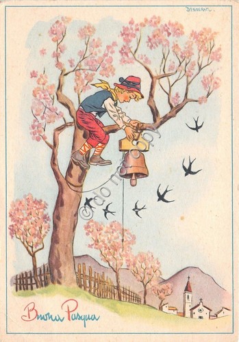 Cartolina - Postcard - Illustrata - Desiderati - Buona Pasqua …