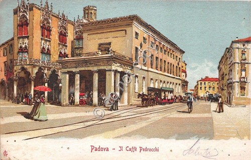 Cartolina - Postcard - Illustrata - Padova - Caffè Pedrocchi …