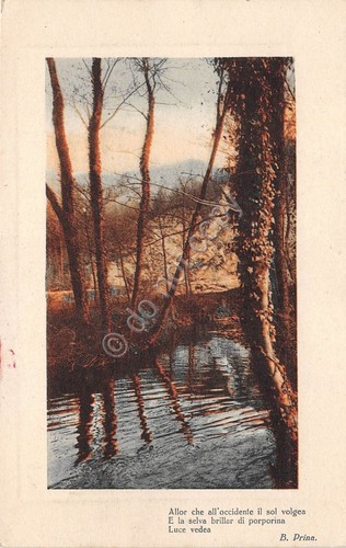 Cartolina - Postcard - Illustrata - ruscello - Poesia Prina …
