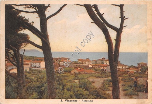 Cartolina - Postcard - Illustrata - San Vincenzo - Panorama …