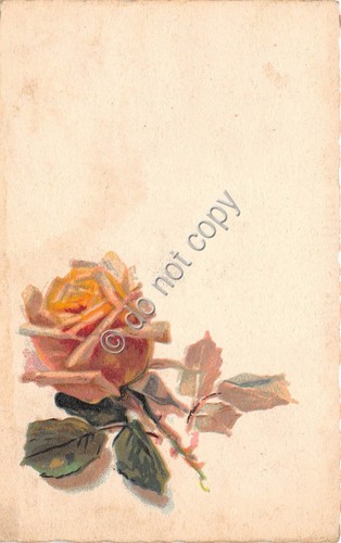 Cartolina - Postcard - Illustrata Augurale Rosa anni '30 VG
